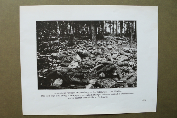 Blatt Ansicht Kiseline 1914-1918 tote Russische Soldaten Totenwald Stellung WK 1 Weltkrieg